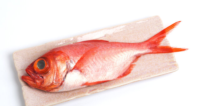 Current special: Kinmedai ~ New Zealand Golden Eye Snapper