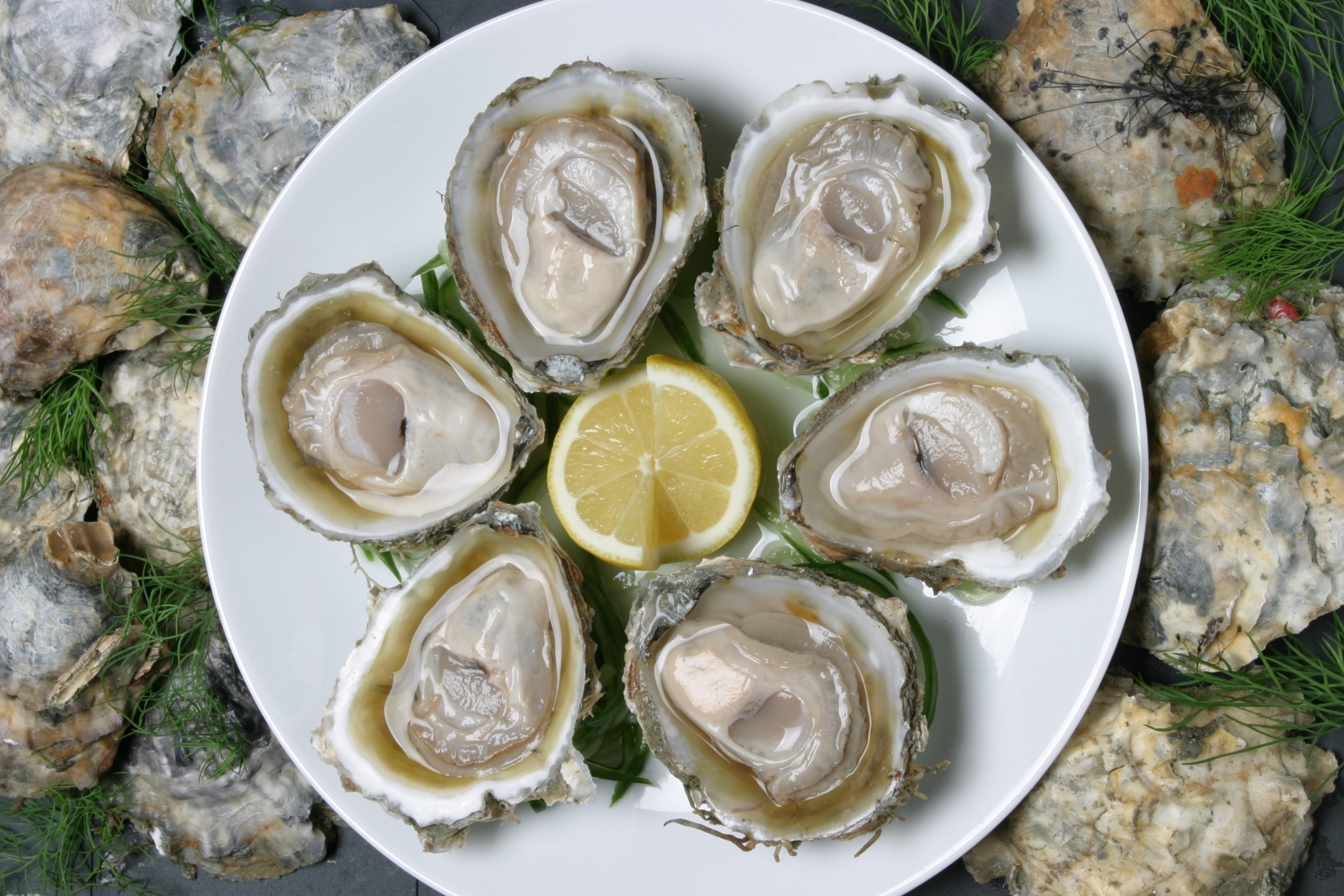 004 Oysters