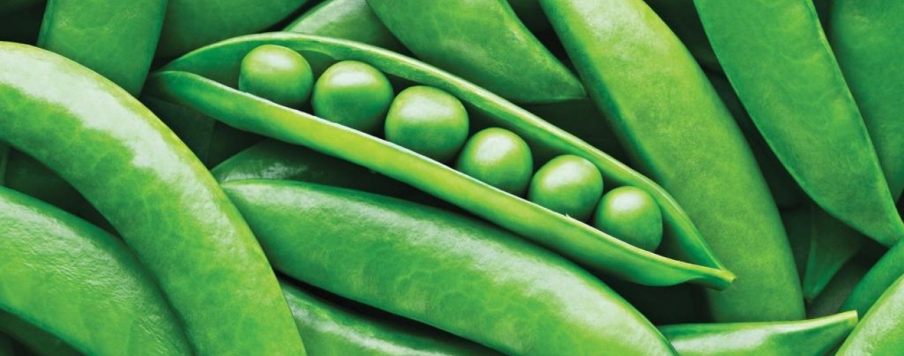 Talley's Vegetables: Peas